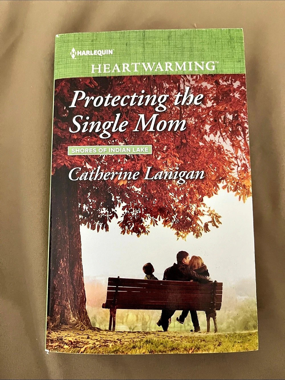 Harlequin Protecting the Single Mom Large Print Romance Paperback